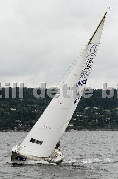 NOR44_4.jpg