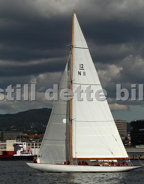 N11_1.jpg