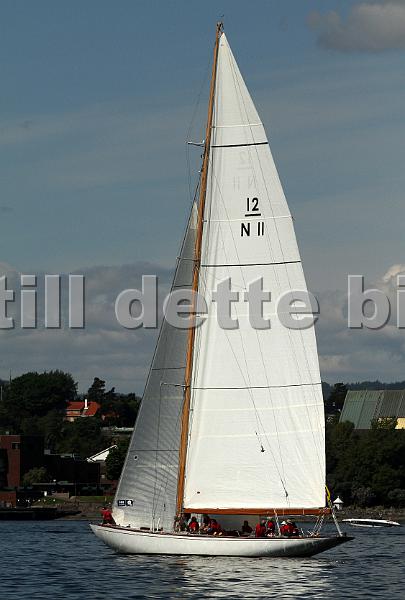 N11_3.jpg