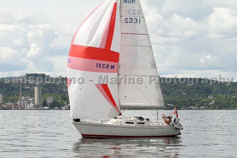 N5231_3.jpg
