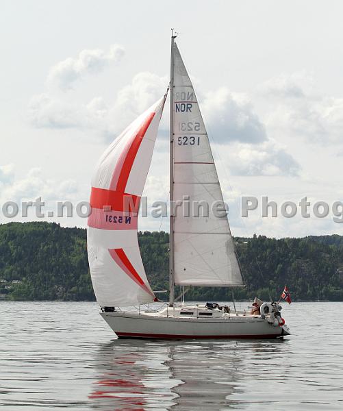 N5231_4.jpg