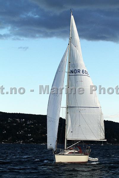 NOR606_2.jpg
