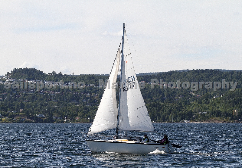 N3077_2.jpg