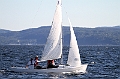 N156_3