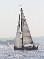 NOR11620_1