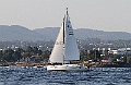 NOR11739_1