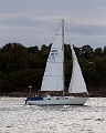 NOR1670_1