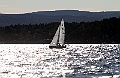 NOR42_2