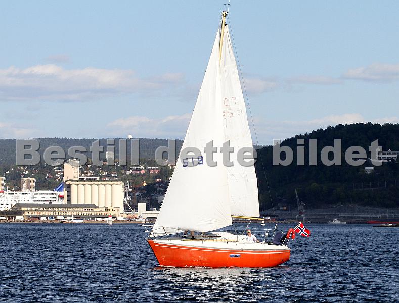 519_1.jpg
