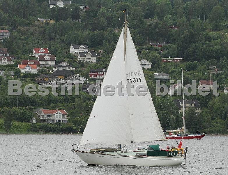 5931Y_1.jpg