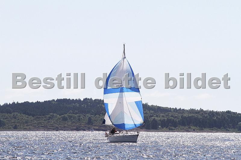 8677_1.jpg