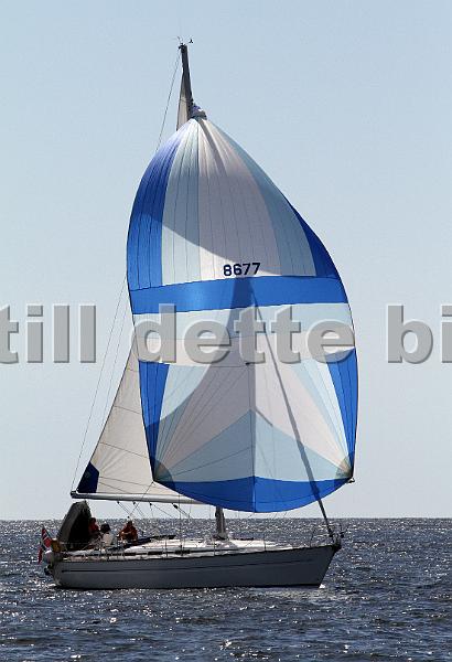 8677_3.jpg