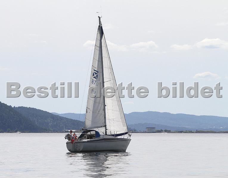 870_1.jpg