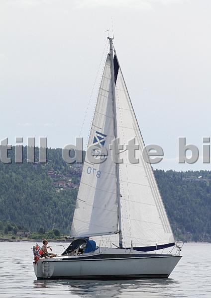 870_2.jpg