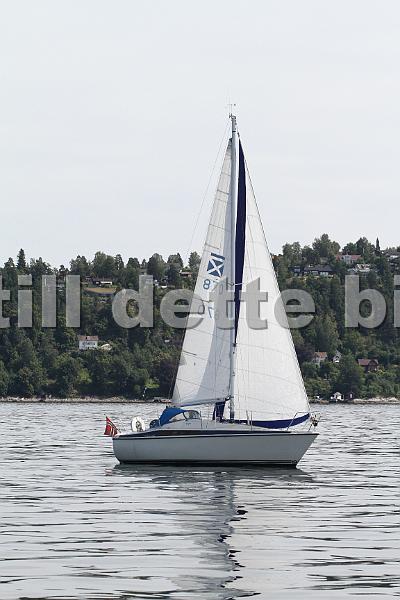 870_3.jpg