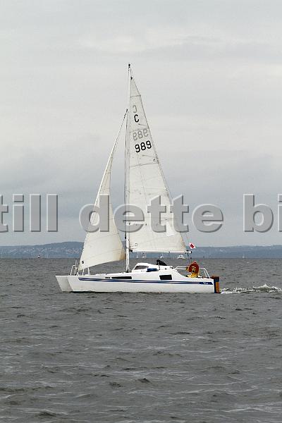 C989_1.jpg