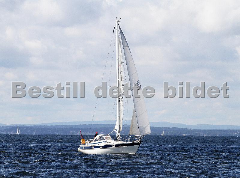 N13365_1.jpg
