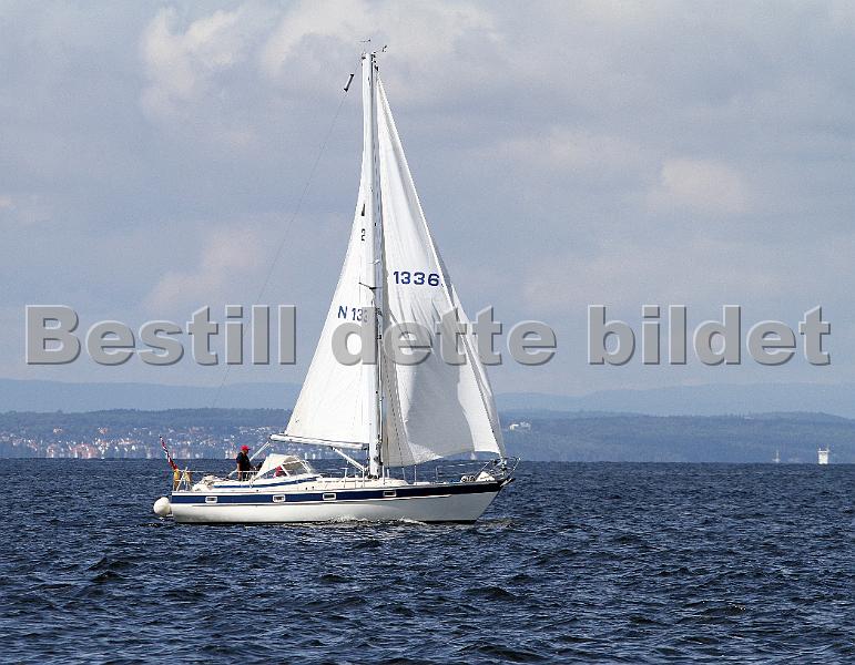 N13365_2.jpg