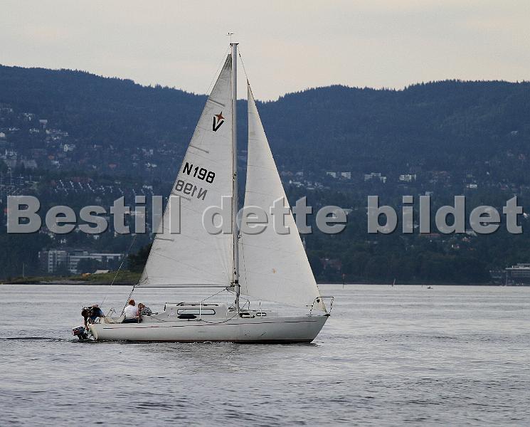 N198_1.jpg