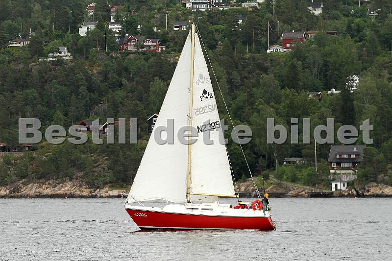 N2395_1.jpg