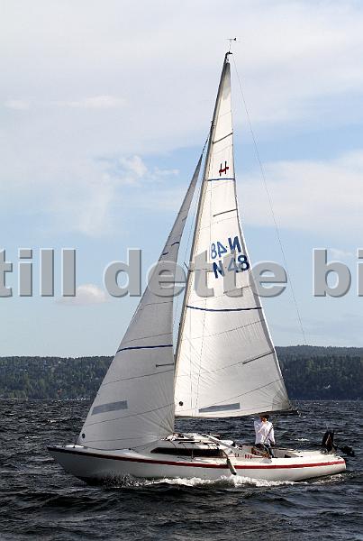 N48_1.jpg