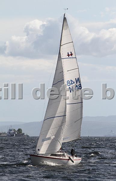 N48_2.jpg