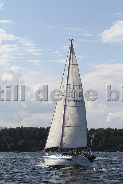 N5106_1.jpg