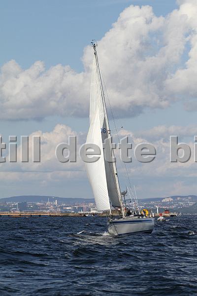 N5106_2.jpg