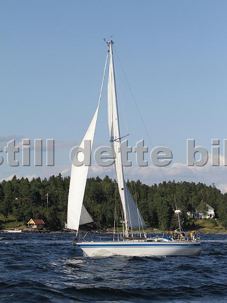 N5106_3.jpg