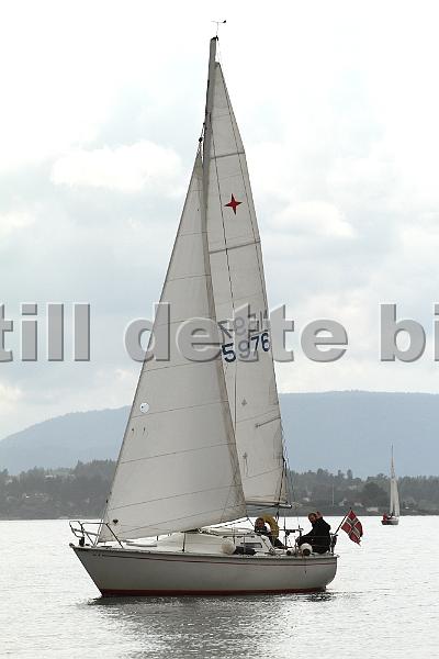 N5976_4.jpg