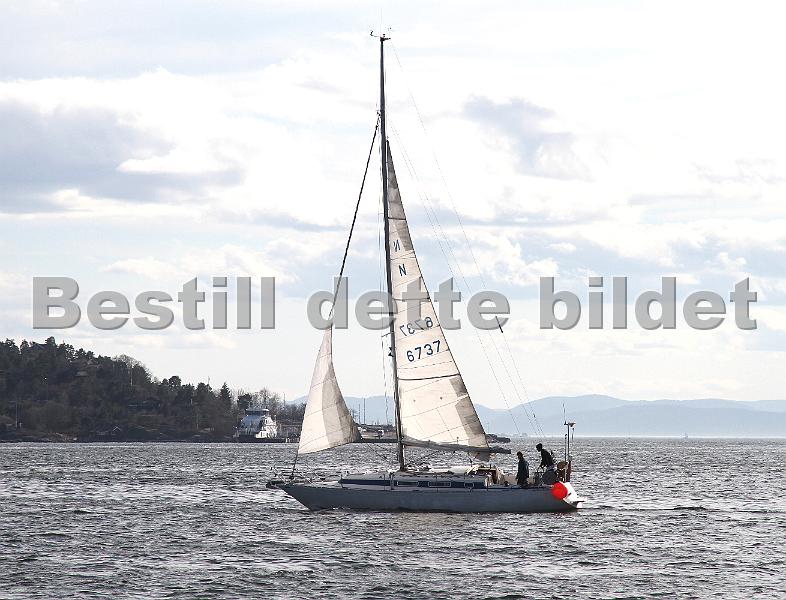 N6737_1.jpg