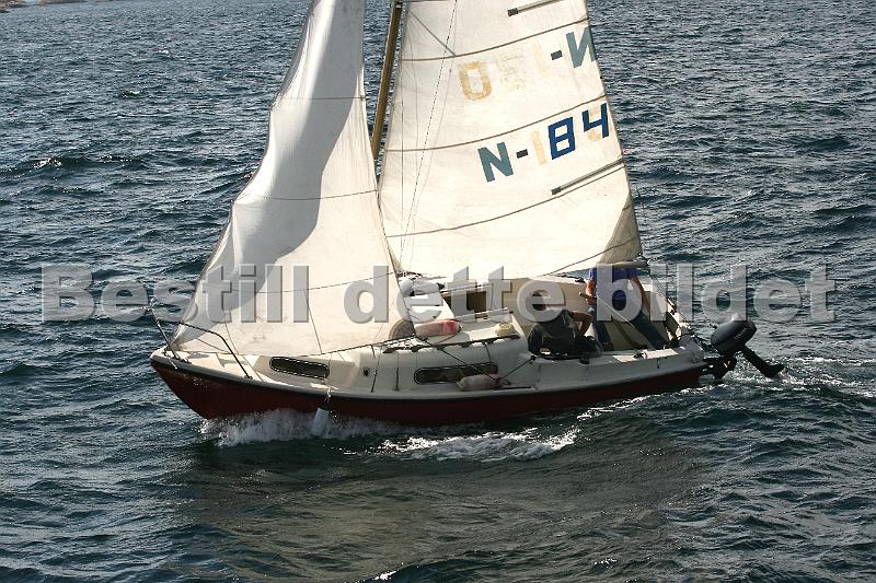 N84_2.jpg