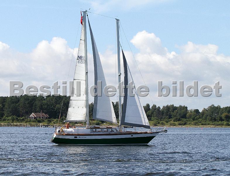N855_1.jpg