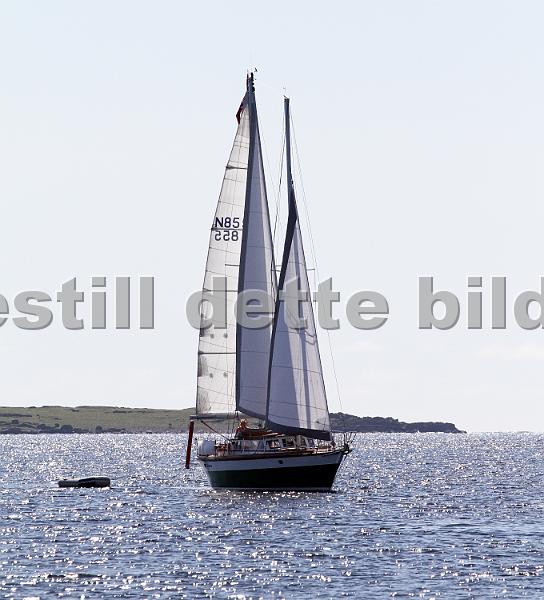 N855_2.jpg