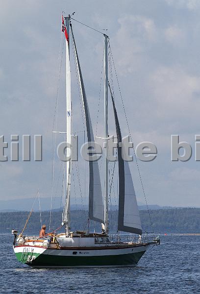 N855_3.jpg