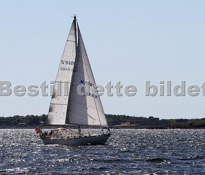 N9465_1.jpg