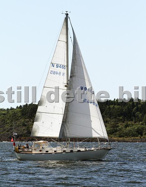 N9465_2.jpg