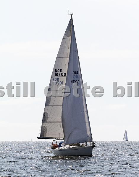 NOR10700_2.jpg