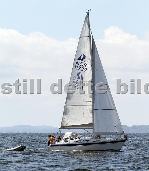 NOR11239_1.jpg