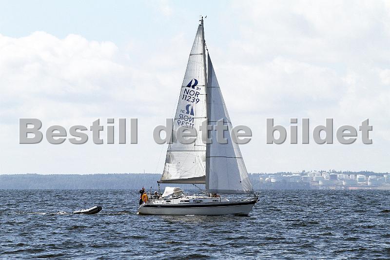 NOR11239_2.jpg