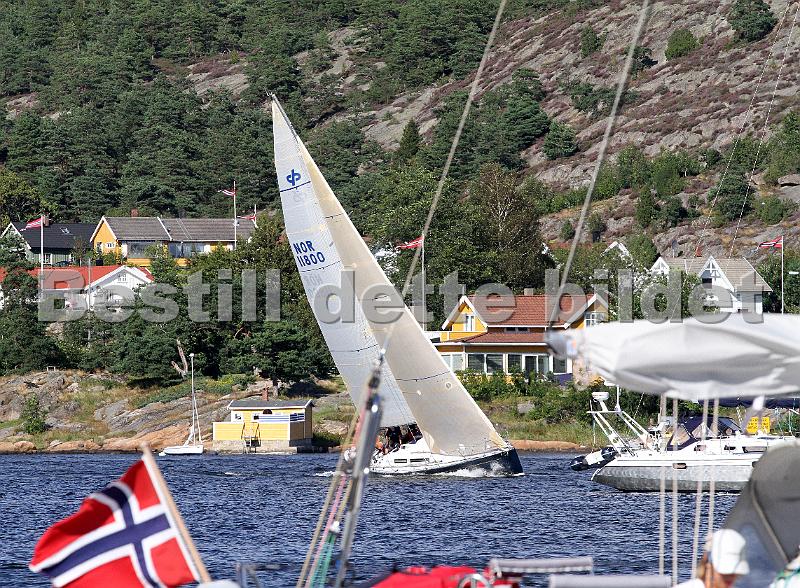 NOR11800_1.jpg