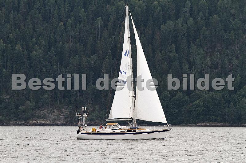 NOR12119_1.jpg