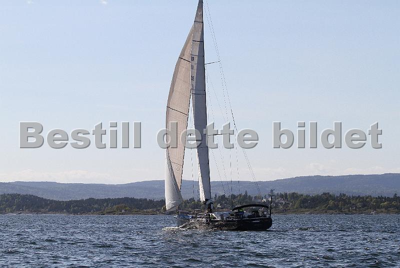 NOR12535_2.jpg