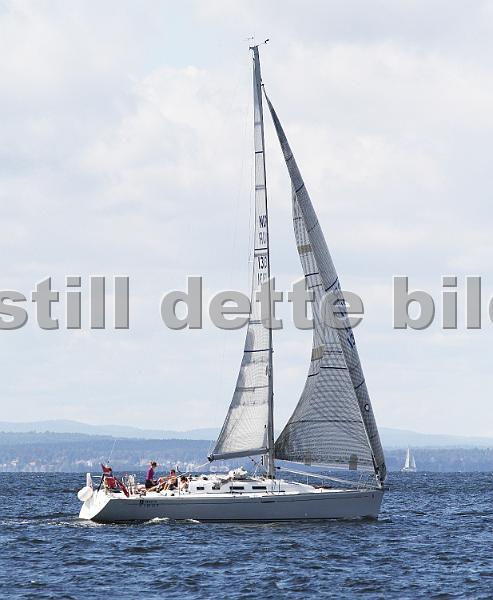 NOR13131_2.jpg