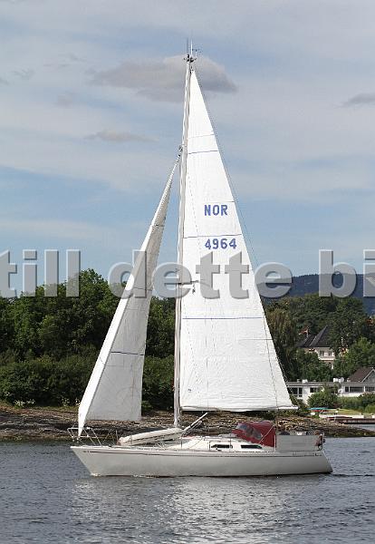 NOR4964_1.jpg