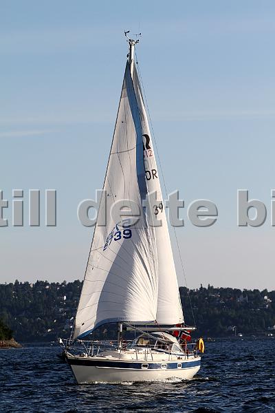 NOR5739_2.jpg