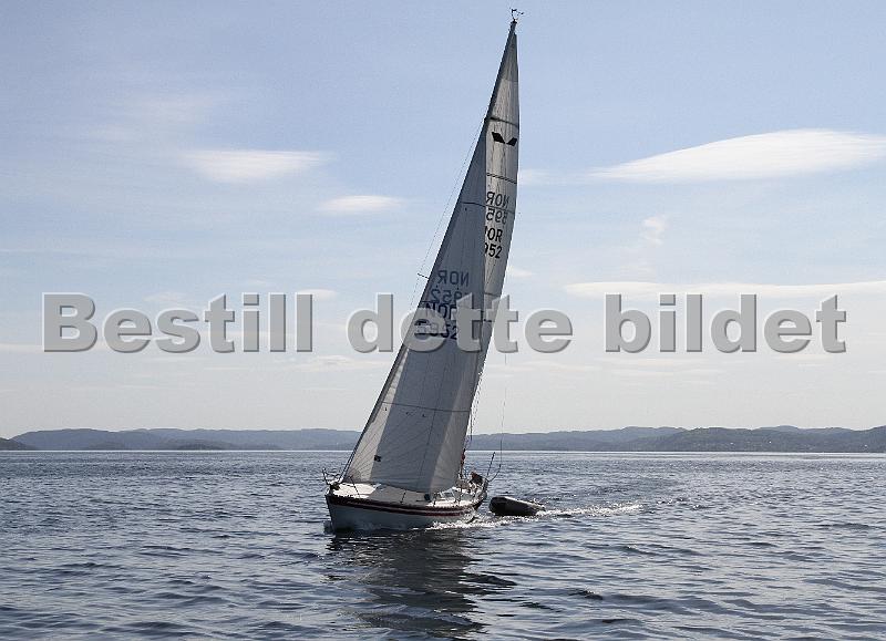 NOR5952_4.jpg