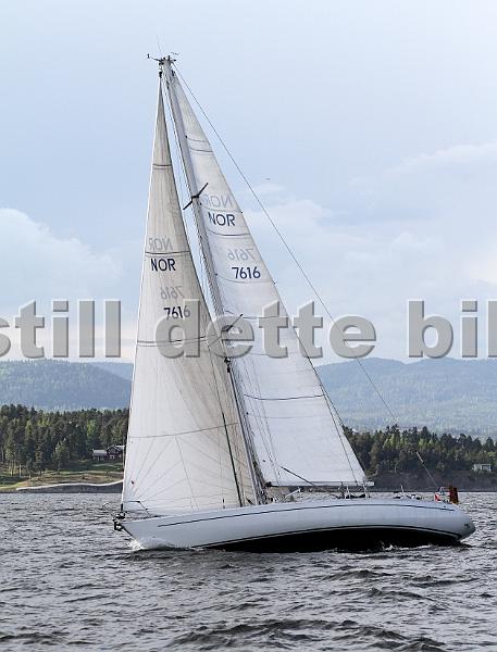 NOR7616_3.jpg