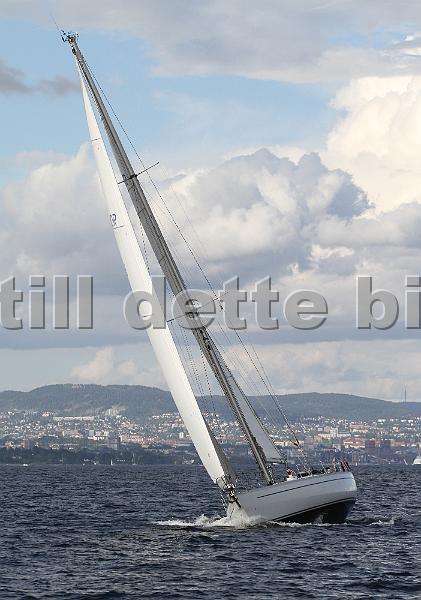 NOR7616_5.jpg