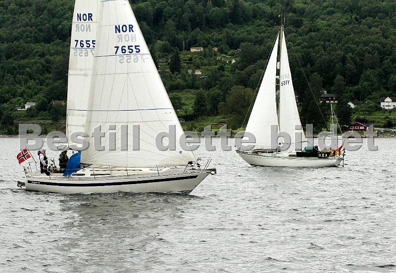 NOR7655-1.jpg